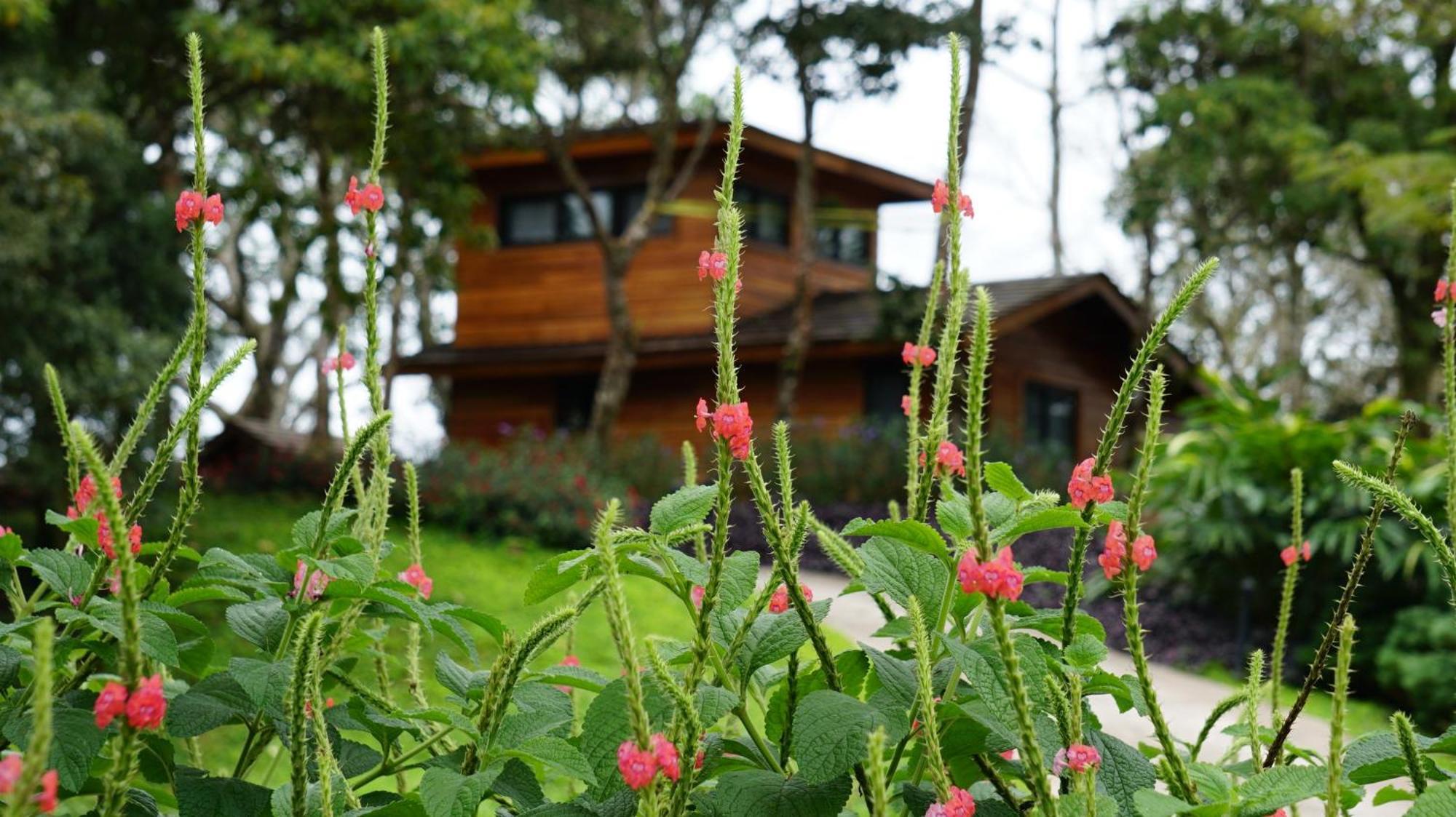 Lucero Golf And Country Club Tree Houses Boquete Exteriér fotografie